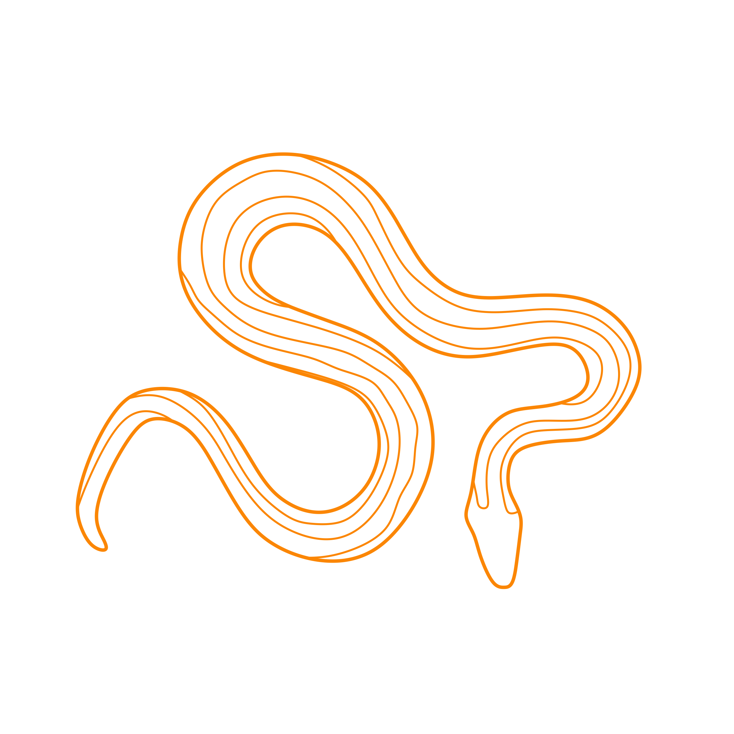 Animals Snakes Rosy Boa Tracing Svg Vector Free Vectors